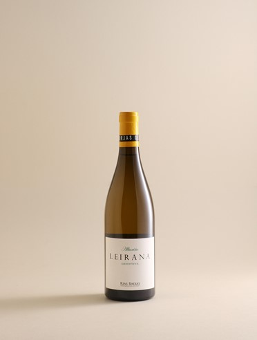 Dynamic Vines | Rodrigo Méndez and Forjas del Salnés in Rías Baixas